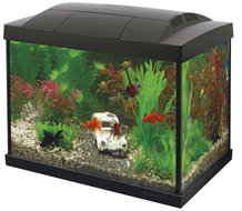 Superfish Start 20 Goldfish Kit Zwart